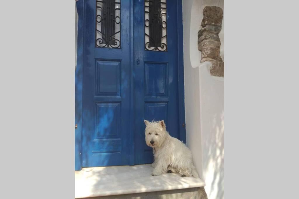 Blue & White: An Absolute Aegean Dream House Villa Galini  Exterior photo
